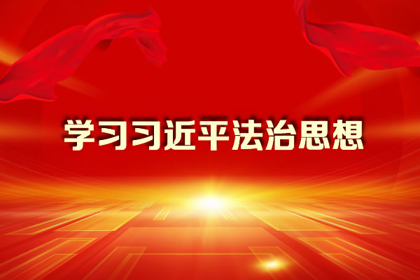 学习习近平法治思想